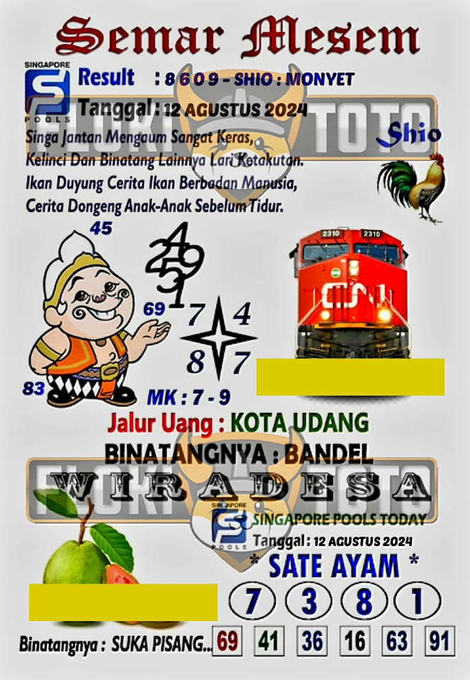 SYAIR SGP VIP